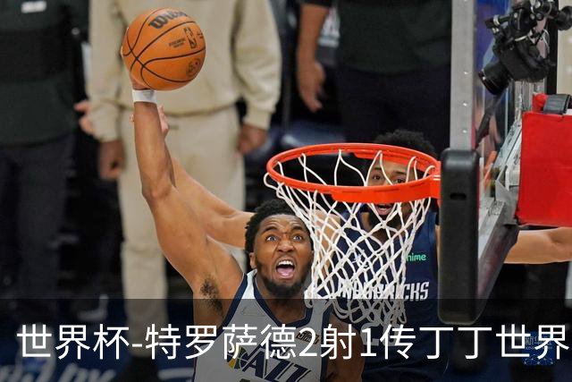 世界杯-特罗萨德2射1传丁丁世界波 比利时5-1新西兰获头名